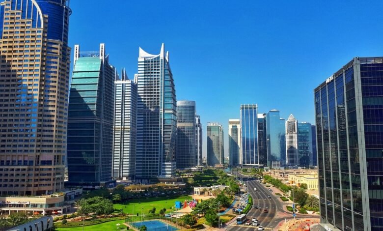 Dubai skyscrapers around the park.
